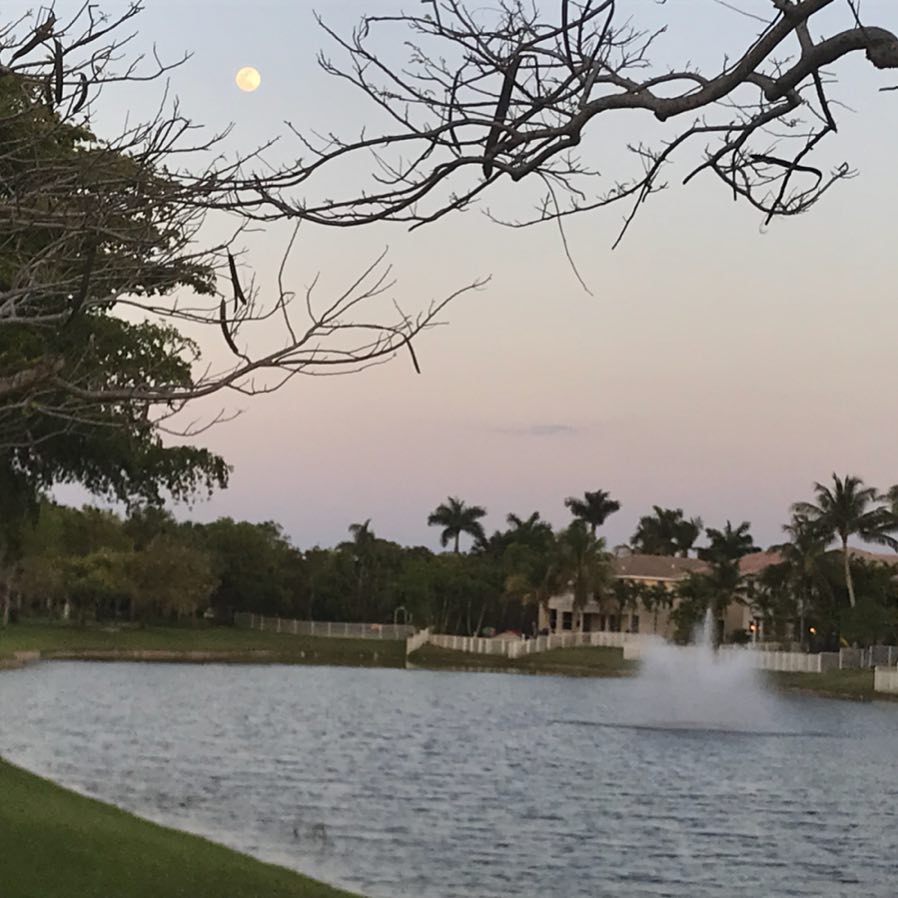 Full moon of April on Scorpio. — foto de Juan Peláez