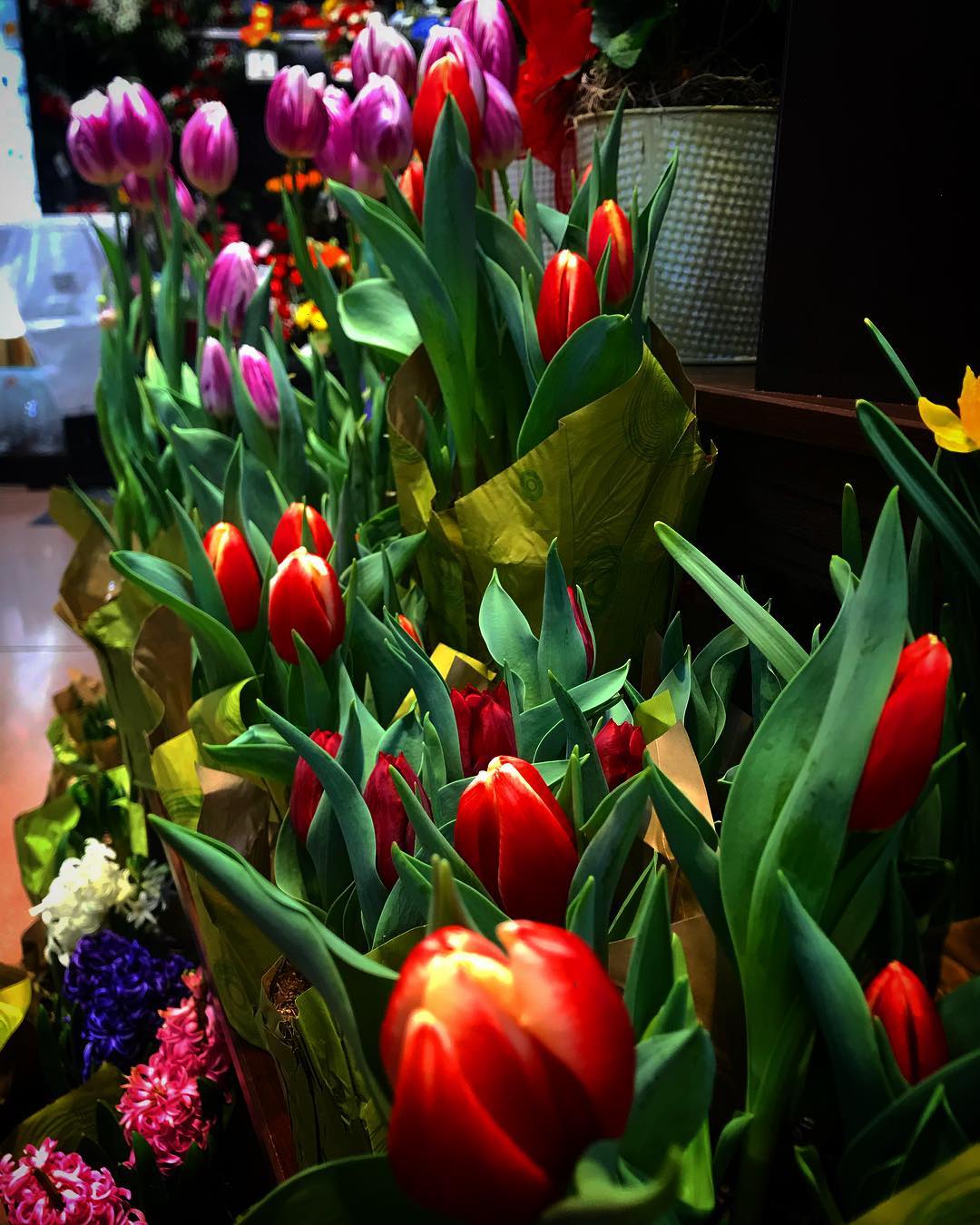 Tulips in any given market any given Saturday. — foto de Juan Peláez