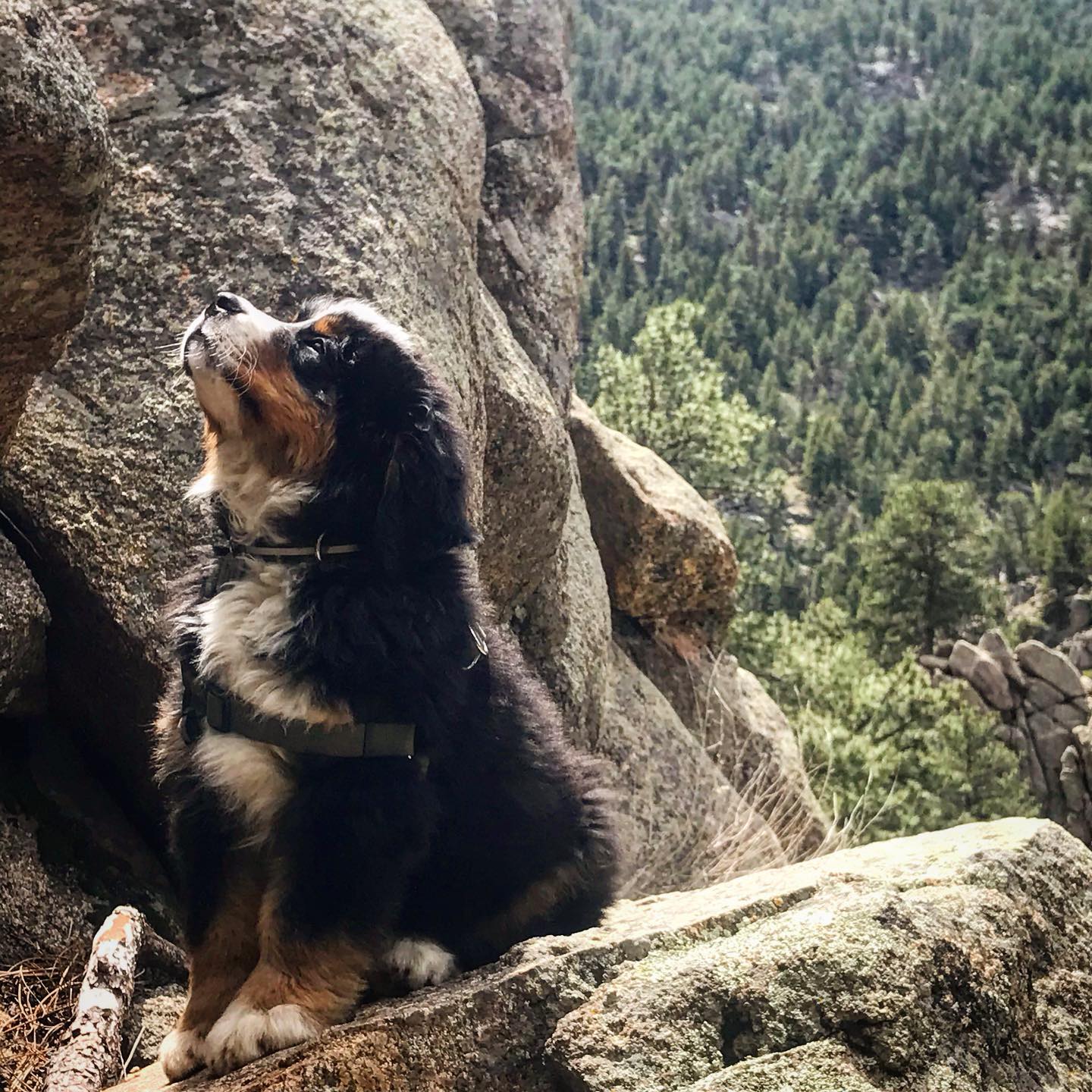Visualization is a key climbing tool — foto de Juan Peláez
