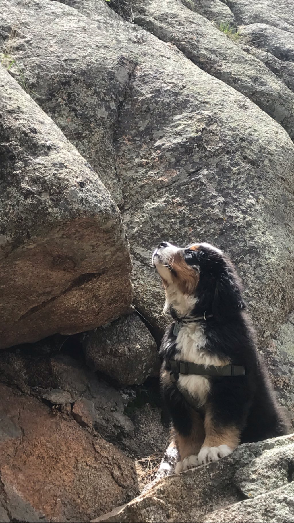 Historia de Instagram — foto de Juan Peláez
