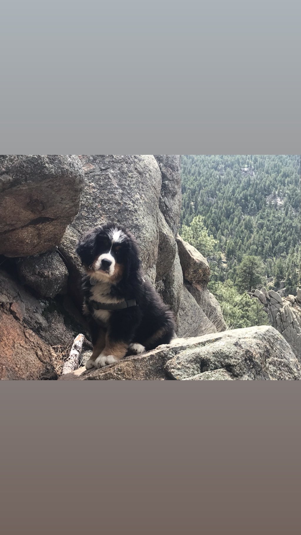 Historia de Instagram — foto de Juan Peláez